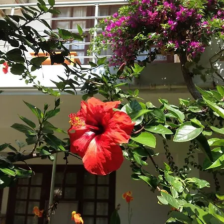 Bed & Breakfast Sidemara
