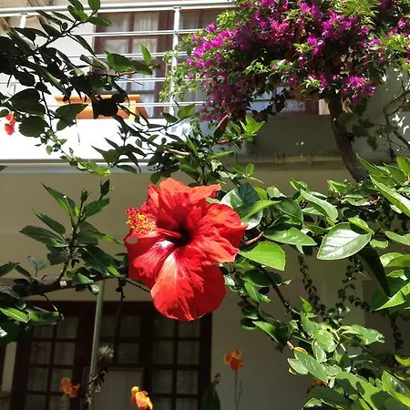 Bed & Breakfast Sidemara